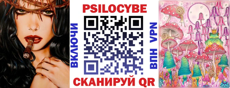 где можно купить наркотик  Мичуринск  Псилоцибиновые грибы мухоморы 